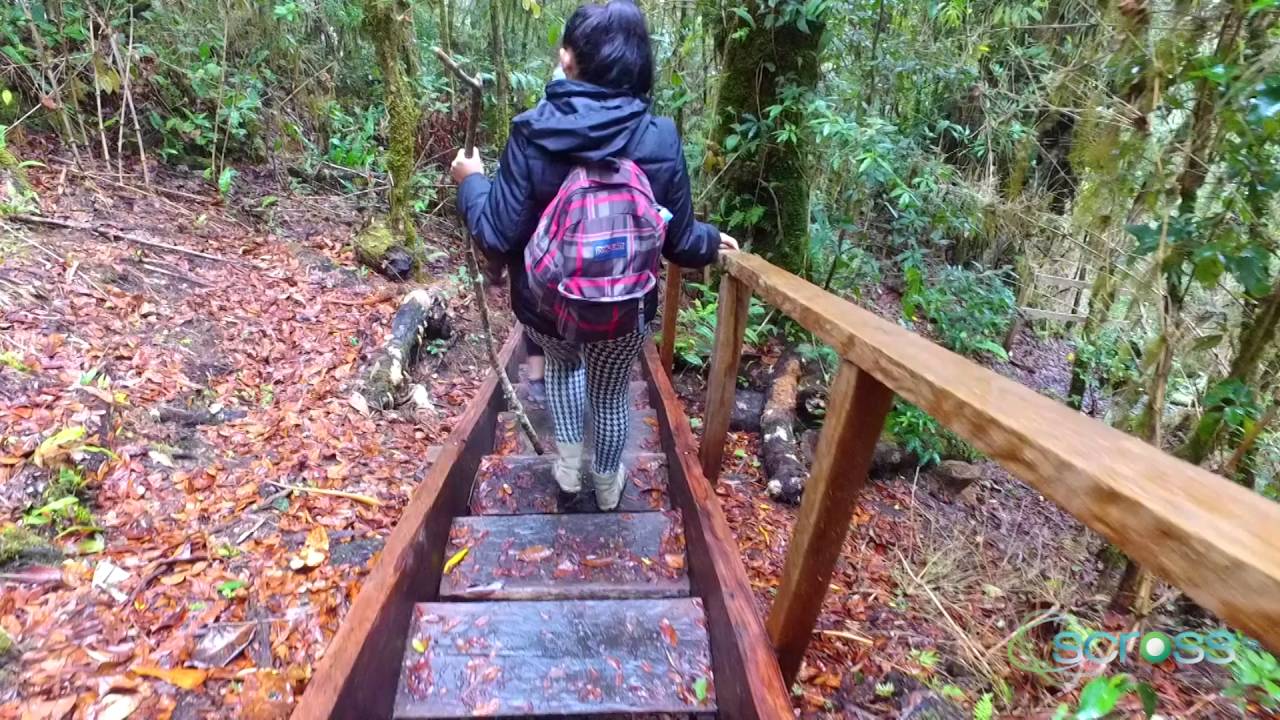 SENDERO LOS QUETZALES