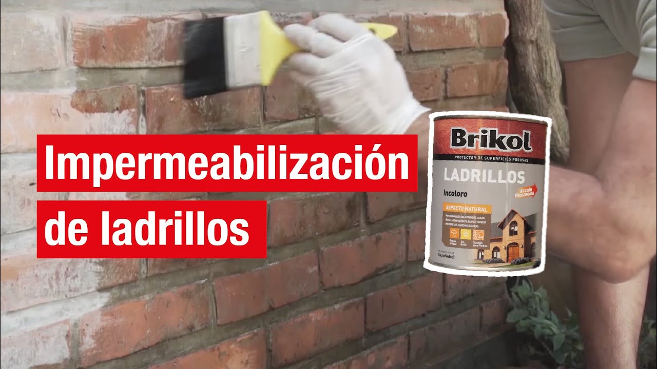 ¿Cómo proteger ladrillos de la lluvia? | Easy Argentina