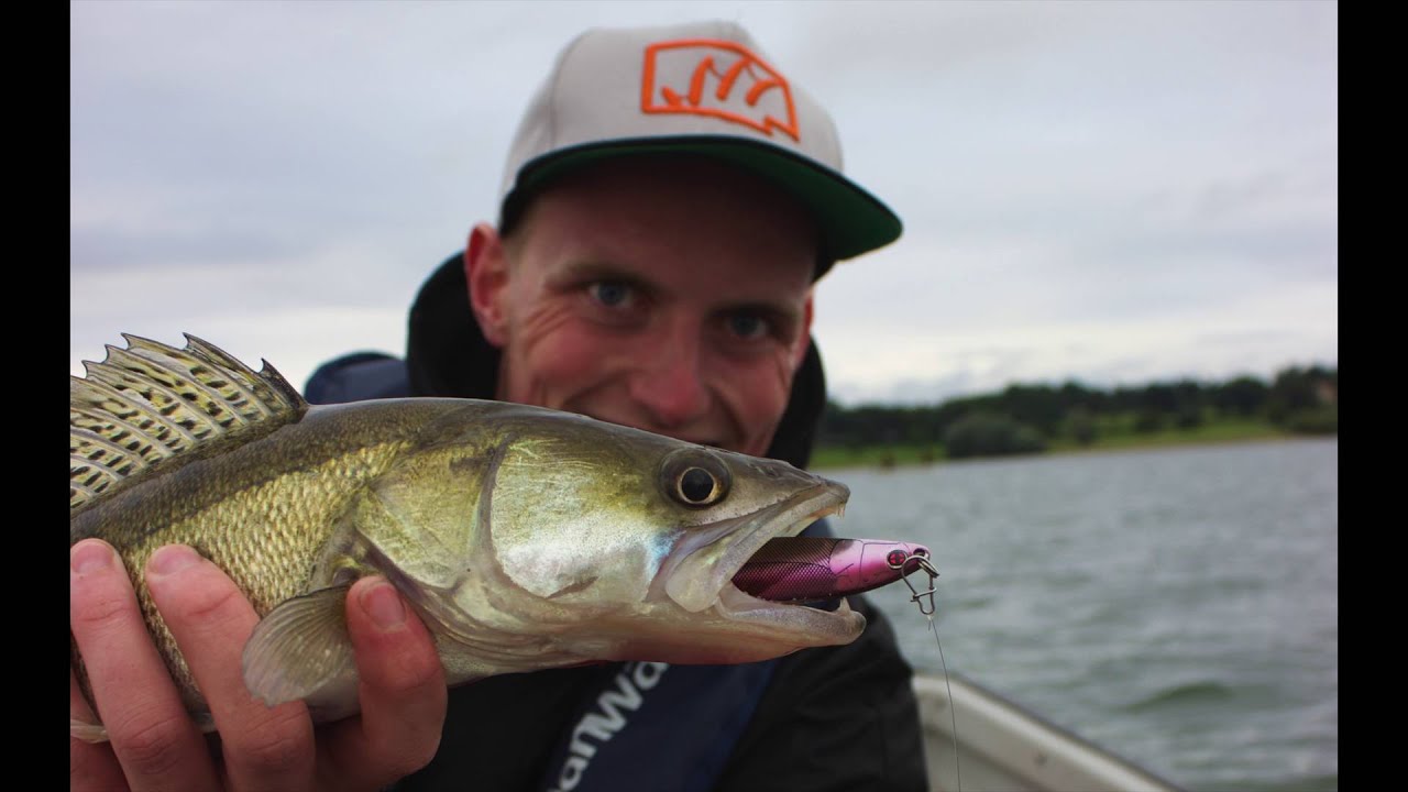 HOW TO: Vertical Zander Fishing, tackle and technique