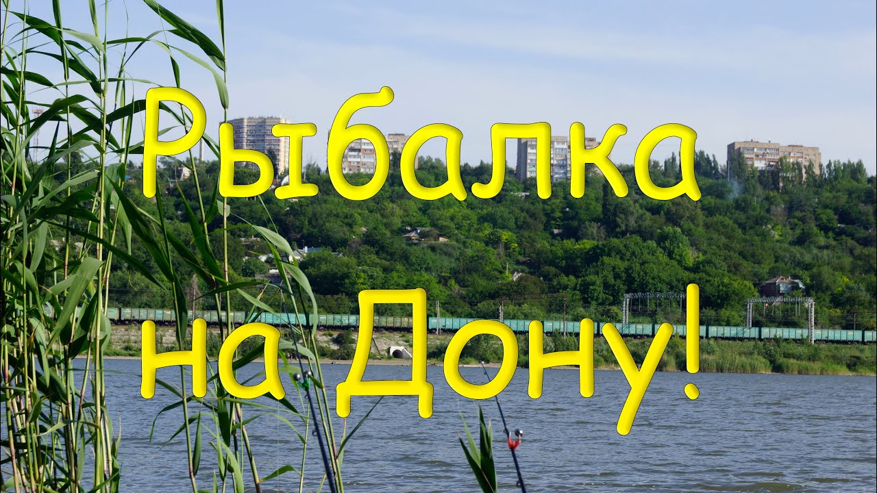 Рыбалка на реке Дон ! В черте города Ростова-на-Дону !