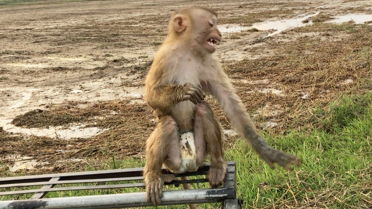 Little Jason Disappoint Tell Dad When Everyone Kidding Escape