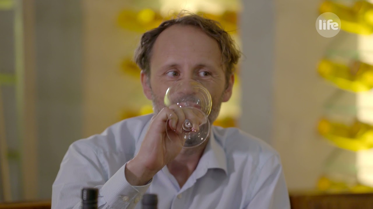 BorJour - Sauvignon Blanc - Haraszthy Pincészet