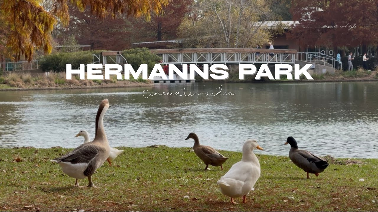 Ducks Of Hermanns Park | Houston | Cinematic Vlog | Shot on Iphone 