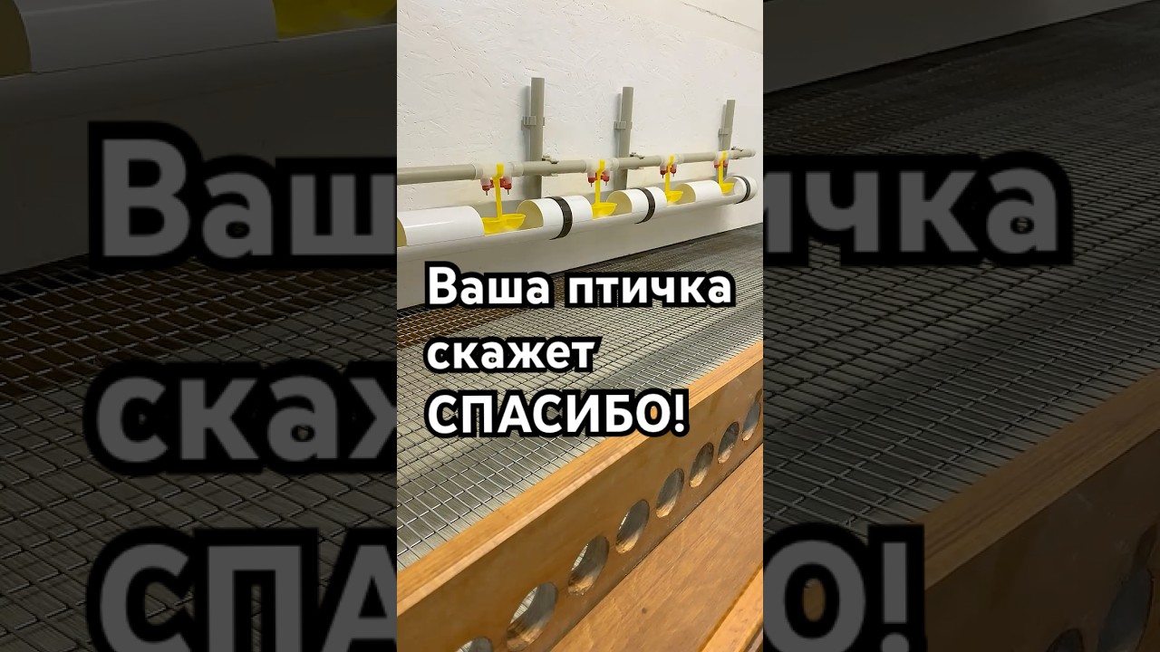 ПОИЛКА-НЕПРОЛИВАЙКА