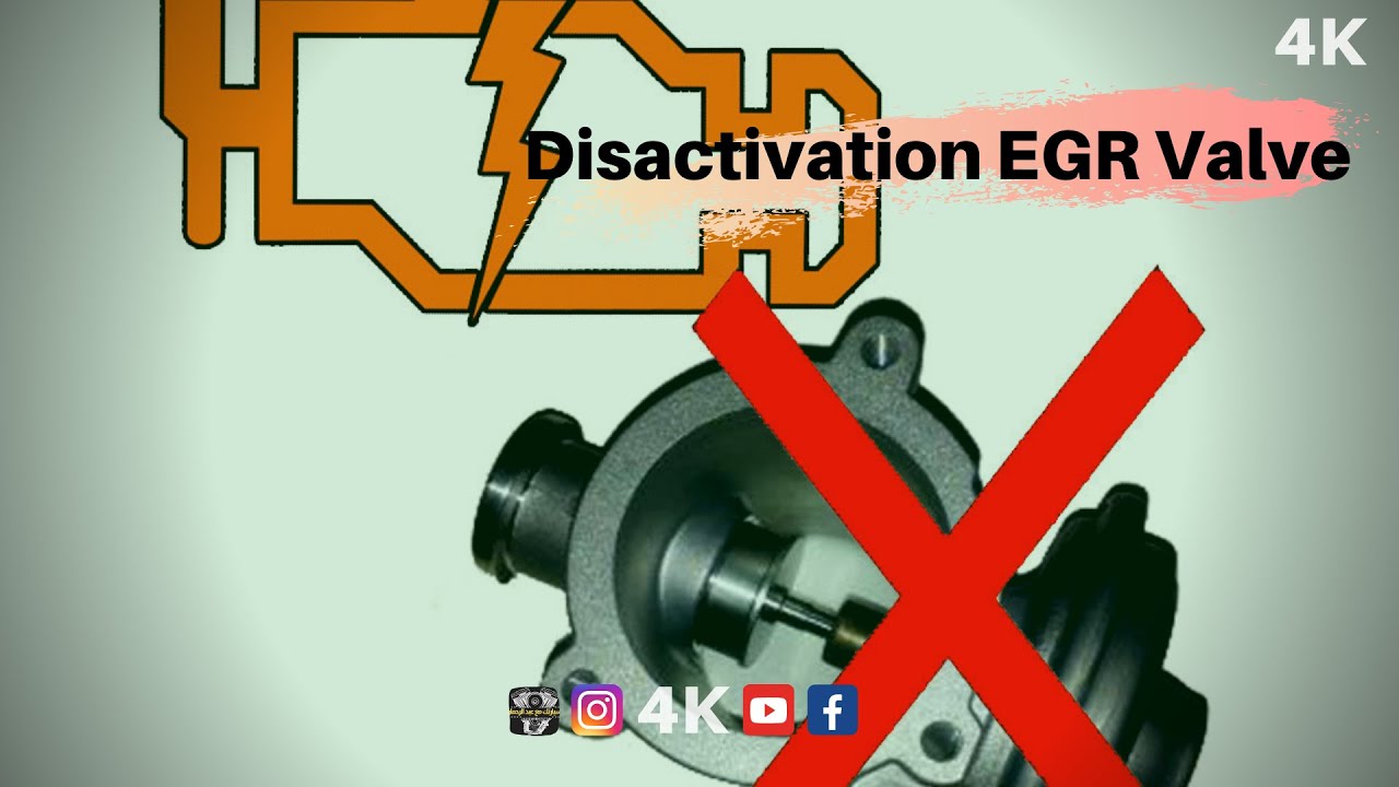 Disactivation EGR Valve --- EGR تعطيل نظام ال PART-1