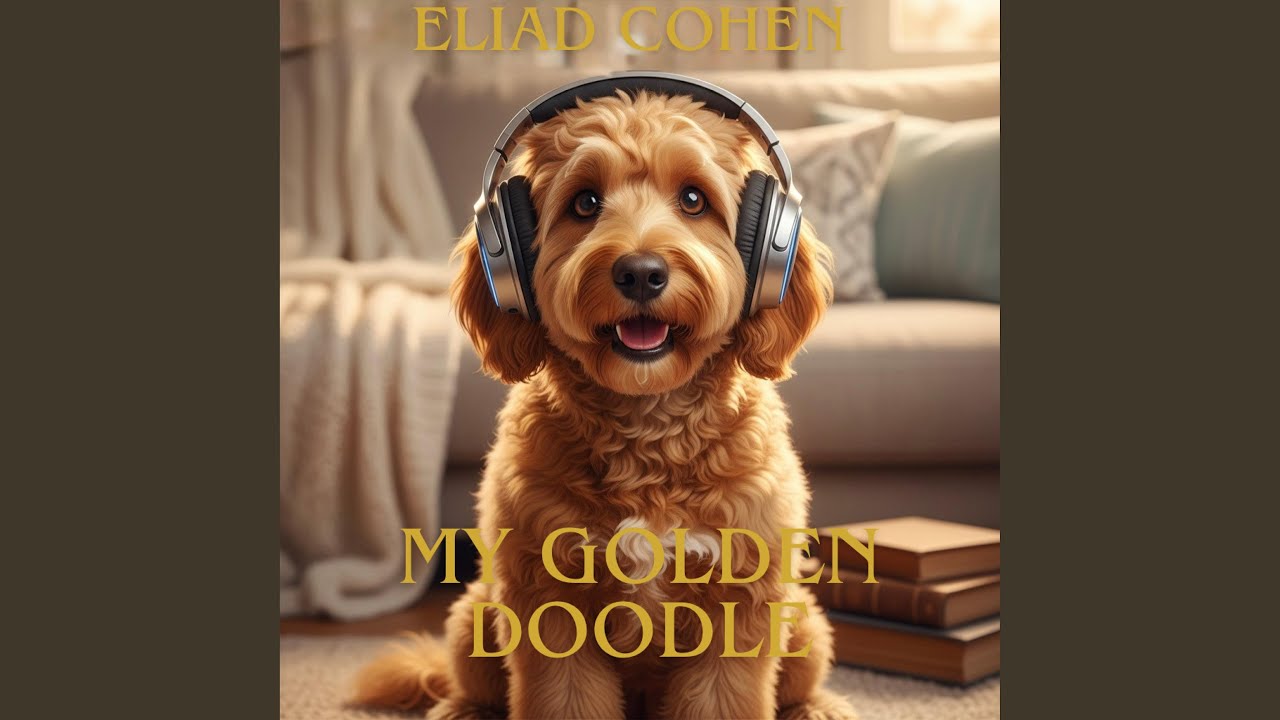 My Golden Doodle