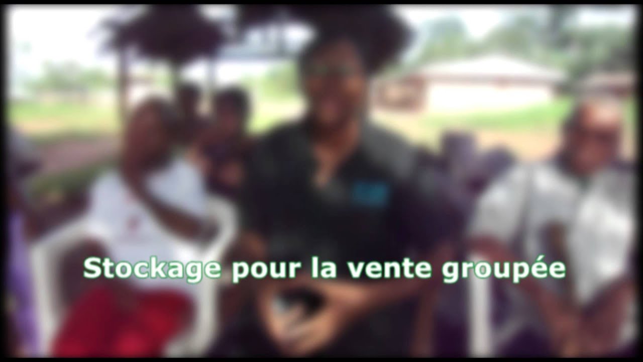 Le r&ocirc;le des ONG