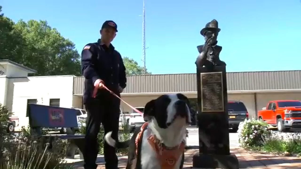 Wake Forest firefighter rescues, adopts dog found wandering after Helene