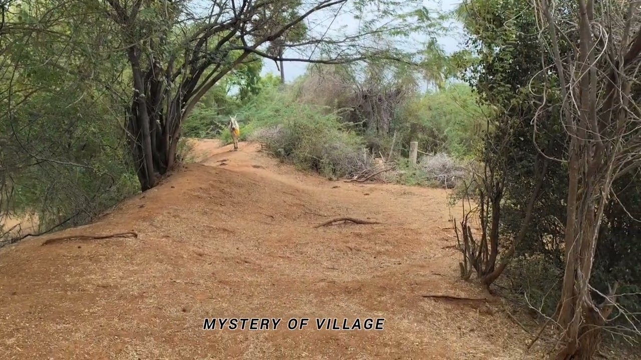 பிடிச்ச மாட்ட விட்டுட்டோம் 😢 @mysteryofvillage #vettaiyan