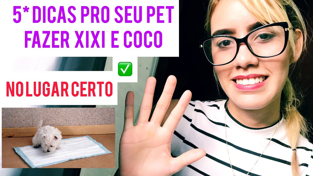 5 Dicas fáceis pro seu pet fazer xixi e coco no lugar certo