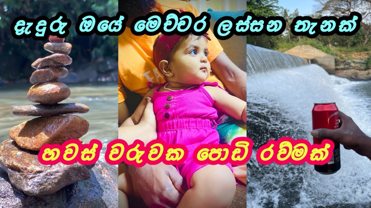 එයාගෙ හොදම කාලෙ ගෙවන ලස්සනම හවස්වරු❤️🐣දරුනු උනු දැදුරුඔය ❤️🌨☘️#viral#nature#travel#vlog#familyvlog 