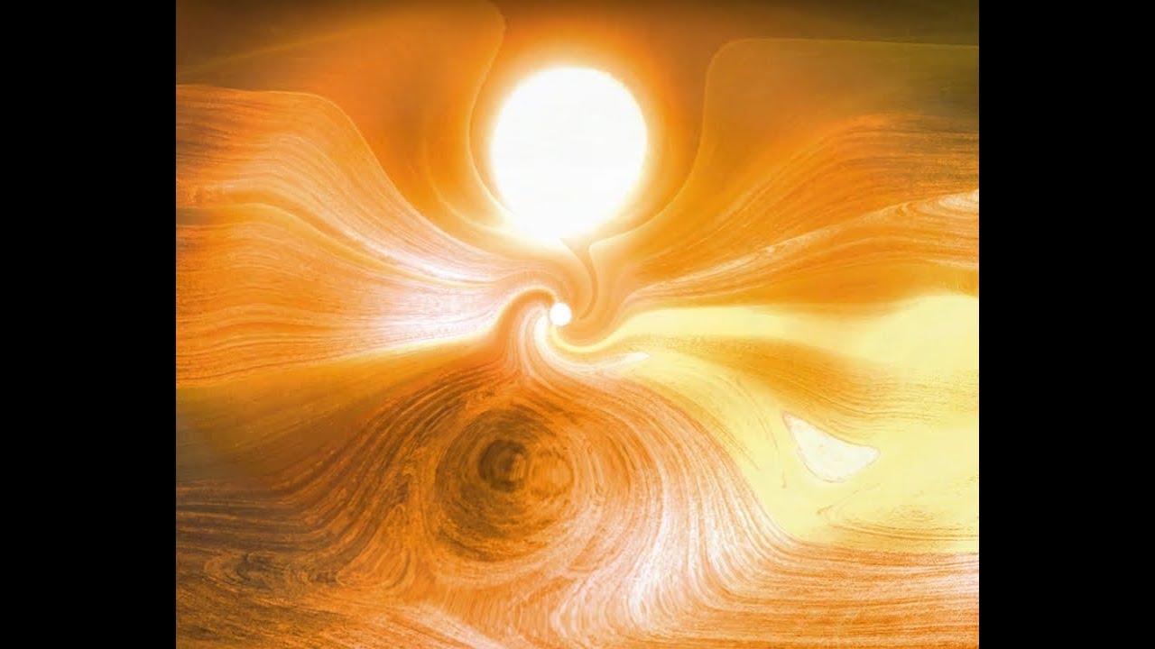 nem - its terrifying beauty, life unfolding