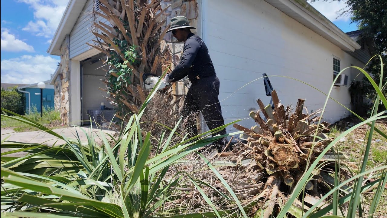 Ep7 Cuanto cuesta CORTAR ARBOLES en una Casa de Orlando