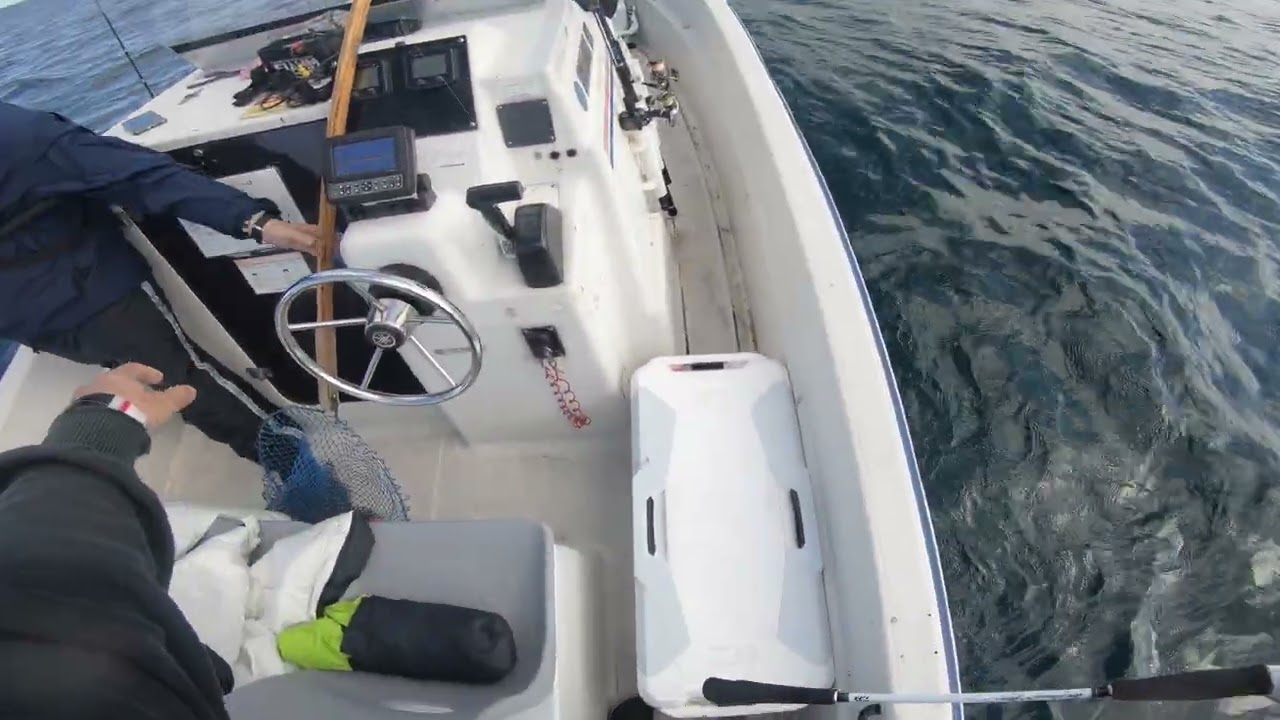 2020.11.22.音海.馬立島.タイラバ･ヒラマサ62cm