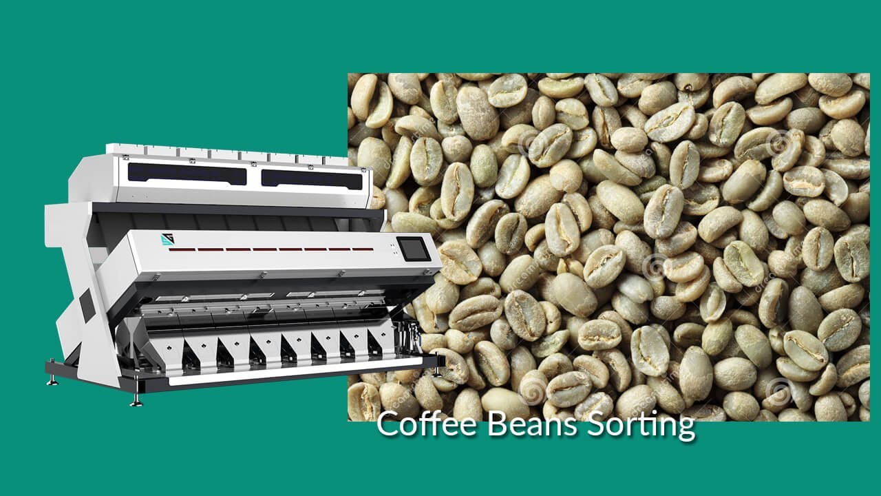 SG Coffee Bean Sorting  / Coffee Color Sorter