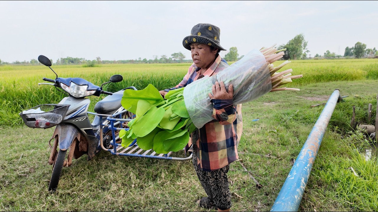 ยายเตี้ยเก็บเห็ด ไปเจอผักกอใหญ่เลยเก็บมากินกับตำถั่วฝักยาว | อร่อยนัวร์