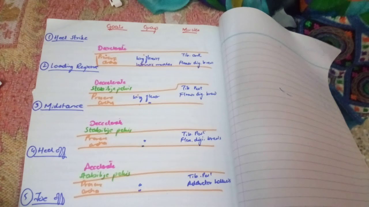 easiest way to write gait cycle  stance phasepart 1