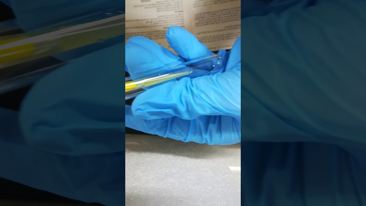 طريقة إجراء تحليل pt عملي الجزء الثاني