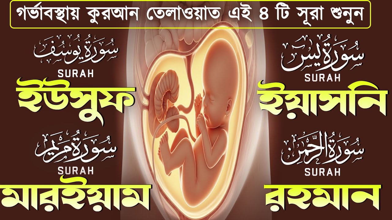 গর্ভাবস্থার জন্য কুরআন তেলাওয়াত ( শুনতে হবে ) সূরা ইউসুফ, মরিয়ম, ইয়াসিন, রহমান | SurelaQuran.