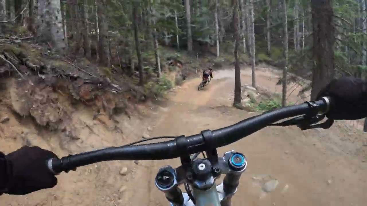 Whistler 