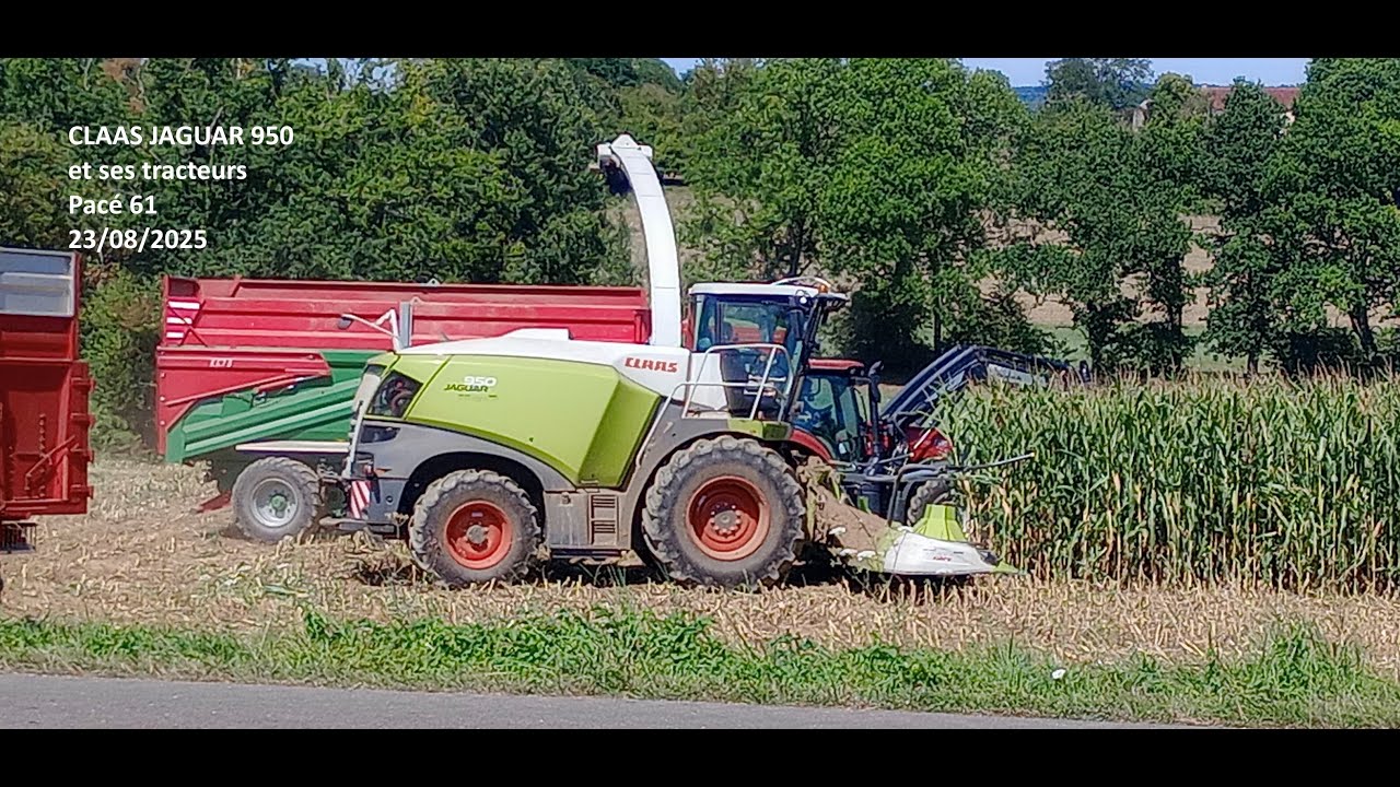 Premier Chantier d'ensilage 2025 CLAAS JAGUAR 950