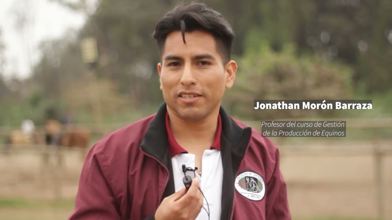 Unidad de equinos en la UNALM