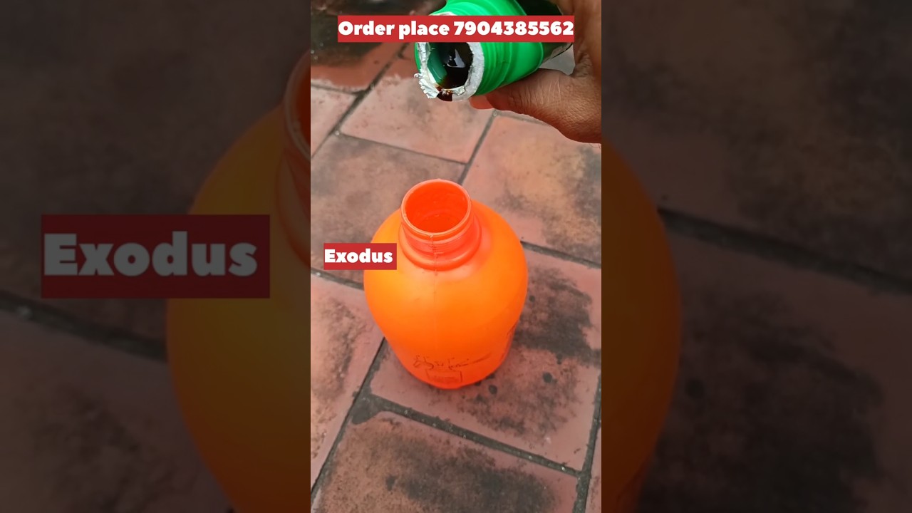 Sunday Protect from insect 🪳 Important gardening works 