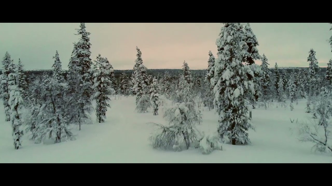 Frigg - Allikko (Official music video)