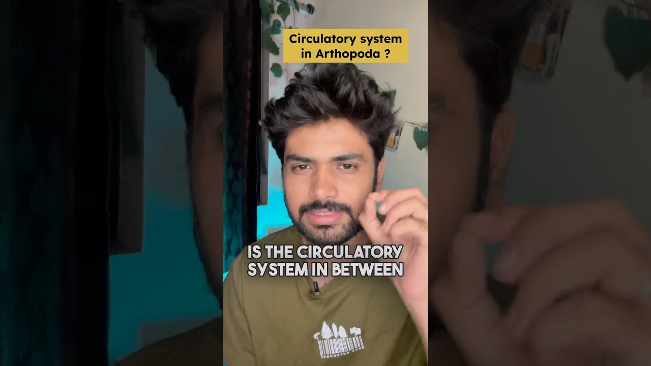 Animal Kingdom Important Question🔥| Neet 2025 Biology | last minute revision