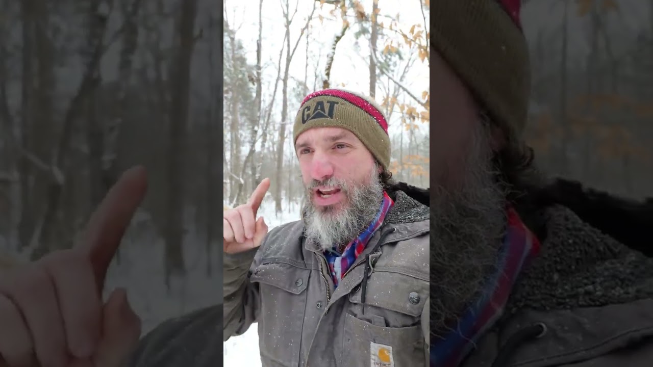 Прямая трансляция в этот четверг! 5 февраля, 