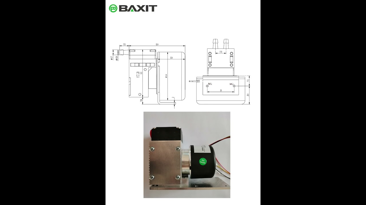 Original BAXIT miniature diaphragm pump PM30643-86 DC24V sampling pump vacuum pump CEMS exhaust pump