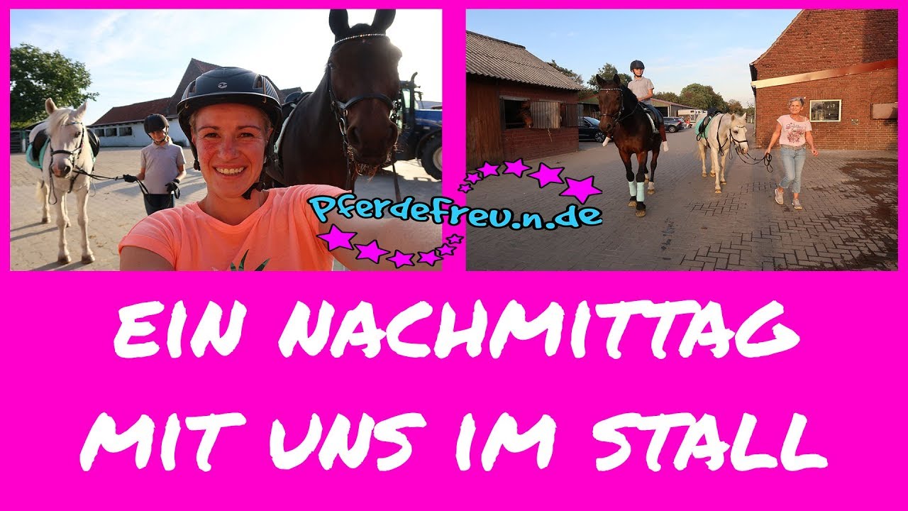 Ein Nachmittag mit uns [ Pferde Freu.n.de ] mit Pony Tausch