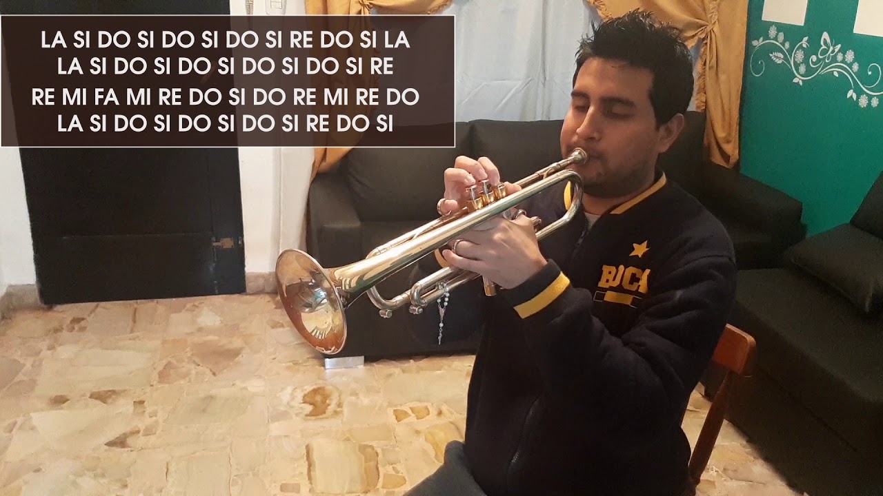 Trompeta- 4 ebrios/se viene-La bersuit