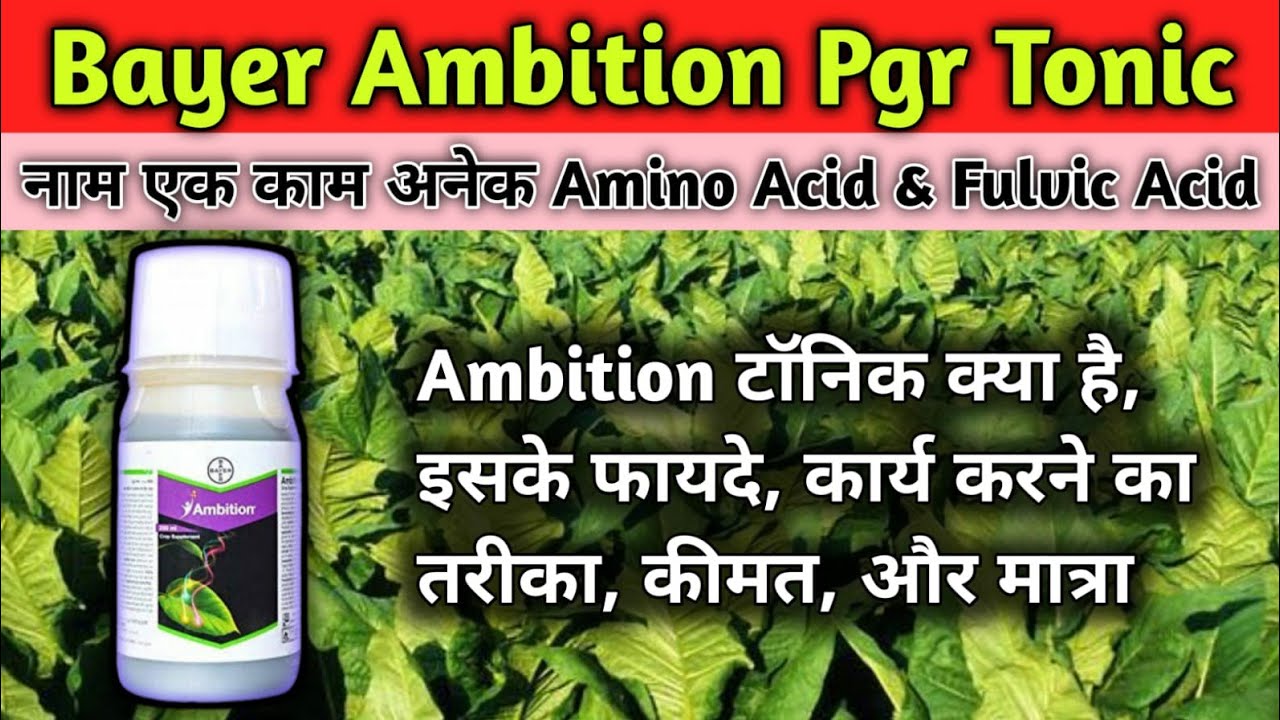 Ambition Tonic । Bayer Ambition  Tonic । Humic Acid । Fulvic Acid । Dose, Price, Crops, Benefits