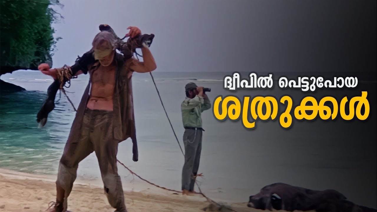 ഒരു ദ്വീപിൽ രണ്ട് ശത്രുക്കൾ | Hell in the pacific movie explained | The Night Owl