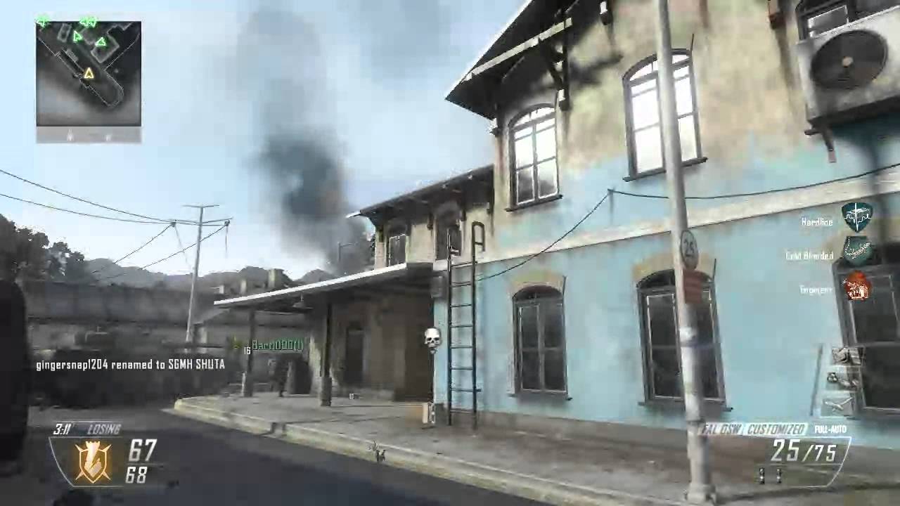 theweednerd420 - Black Ops II Game Clip
