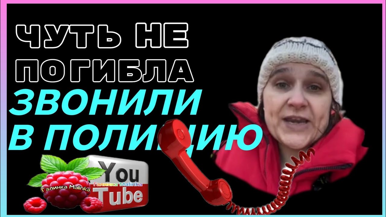 Бровченко /Чуть не погибла /Звонили в полицию /Обзор /Колесниковы /Деревенский дневник 