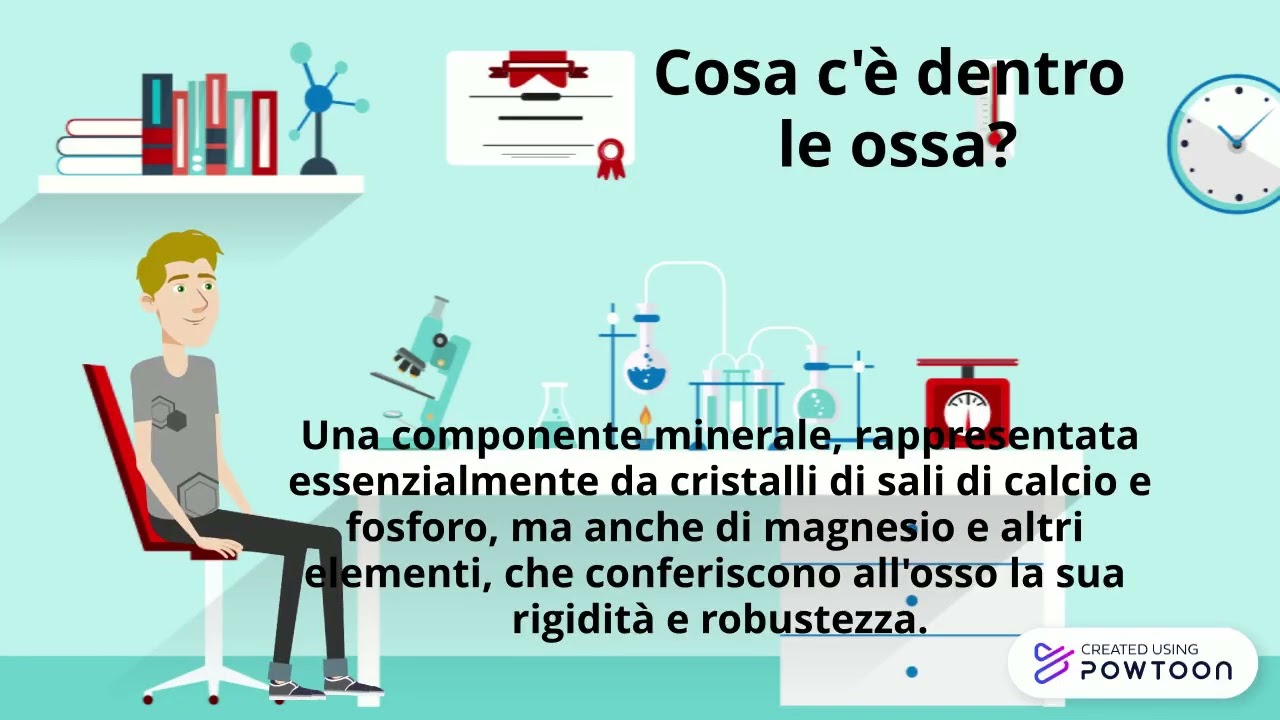 Le ossa. Per la salute del sistema scheletrico (2B)