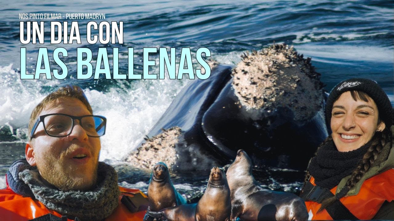 #23 🐋 UN DIA CON LAS BALLENAS 🐋 - PUERTO MADRYN - NOS PINTO FILMAR
