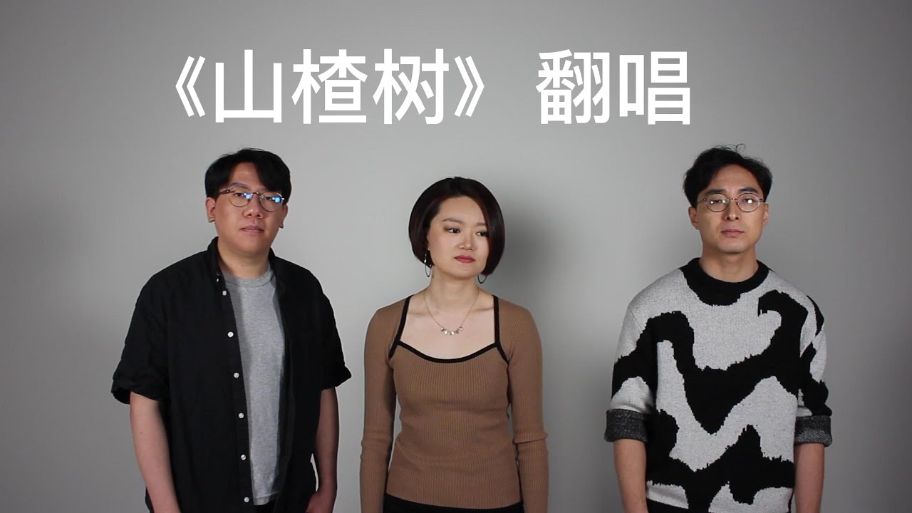 《山楂树》三重唱，翻唱自声入人心版，cover 周深/王晰/刘彬濠