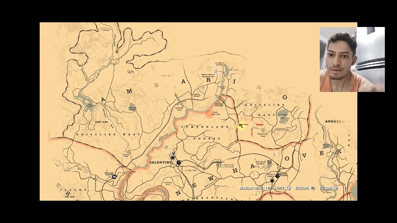 Red Dead Redemption 2 - parte 24 - pedido de amor