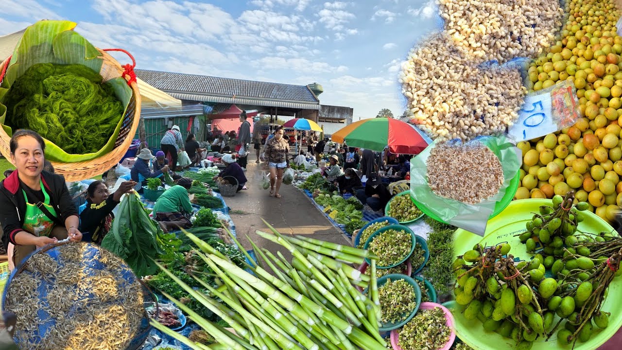 ตลาดนัดวันพุธตระการพืชผล #อาหารอีสาน #อาหารพื้นถิ่น แนวกินบ้านๆเยอะมาก‼️ อุบลราชธานี