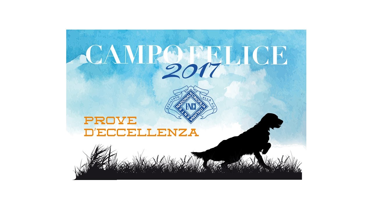 CAMPO FELICE 2017 - ECCELLENZA SETTER