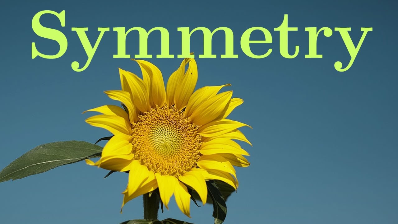 Symmetry in physics and Noether’s theorem