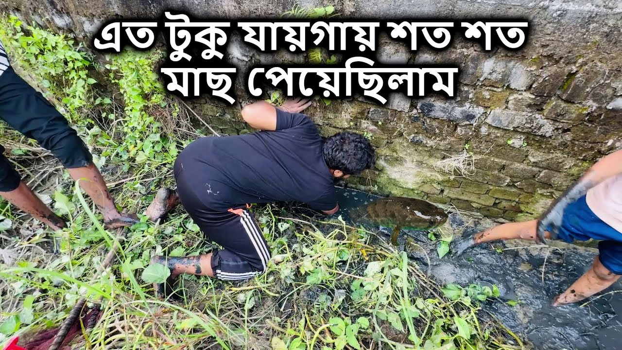 এত টুকু যায়গা থেকে শত শত মাছ পেয়েছিলাম #minizoo #fishing