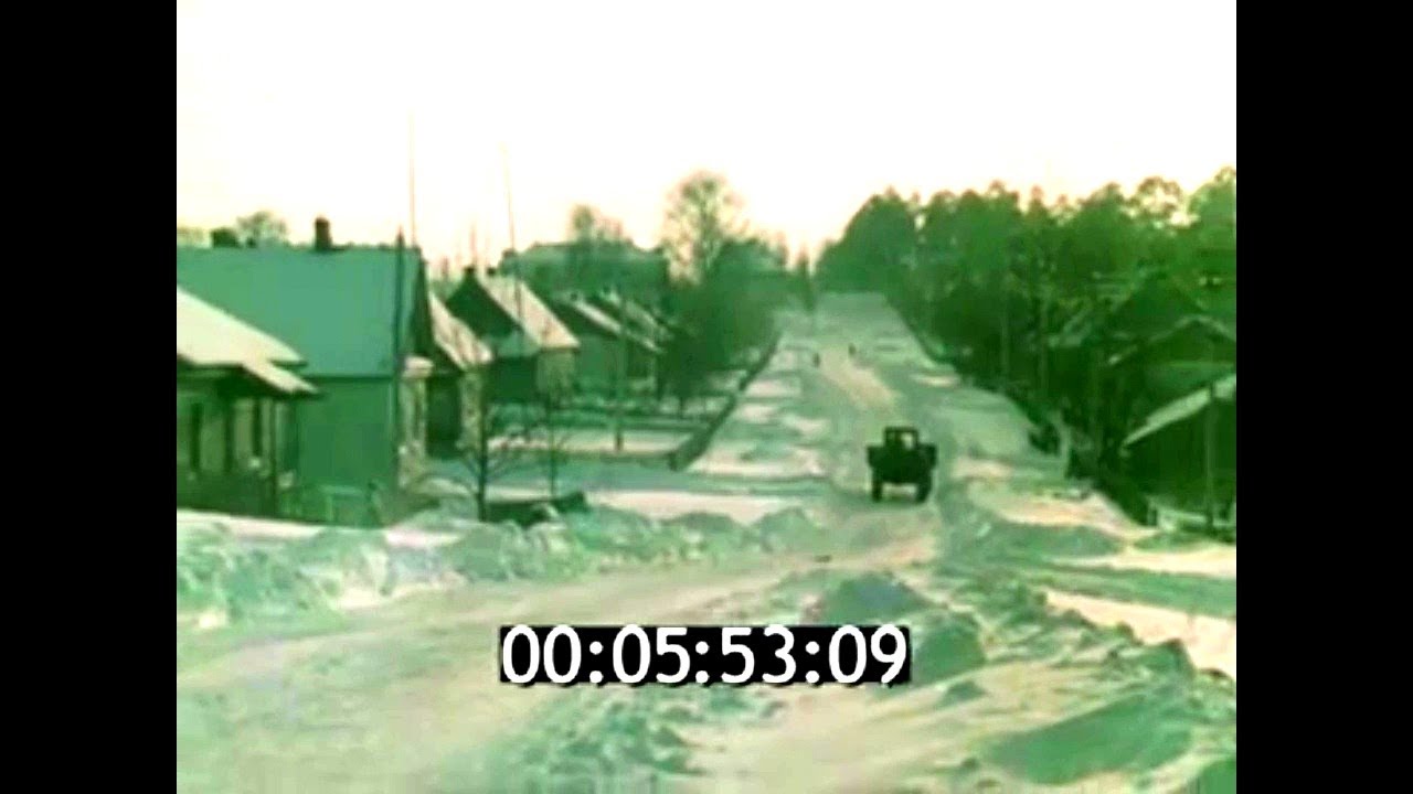 1987г. д. Борки. писатель Васильев И.А. Великолукский район Псковская обл.