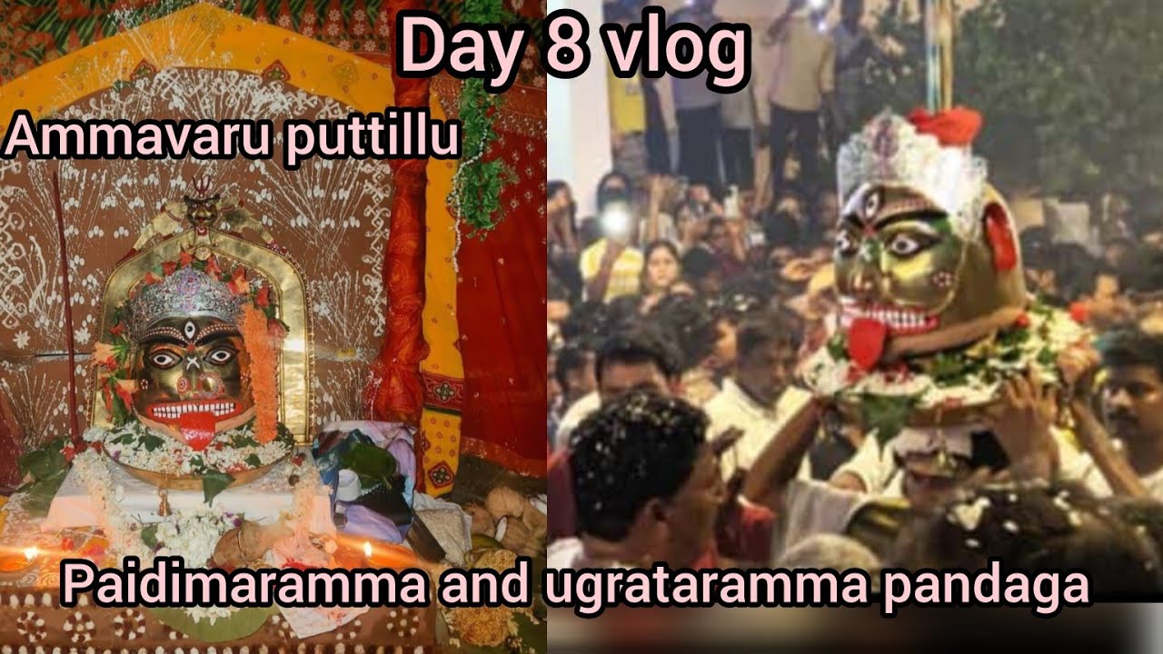 Day 8 vlog|| maa ugrataramma putillu|| paidimaramma and ugrataramma pandaga || komtlapeta|| Rayagada