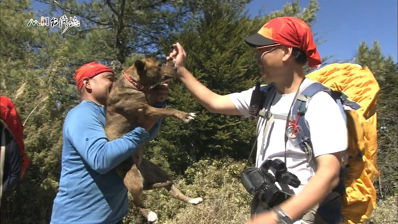 20150517【674】MIT台灣誌 行陽光森林 邁向西巒大山 上山下山 爬出一片人的風景