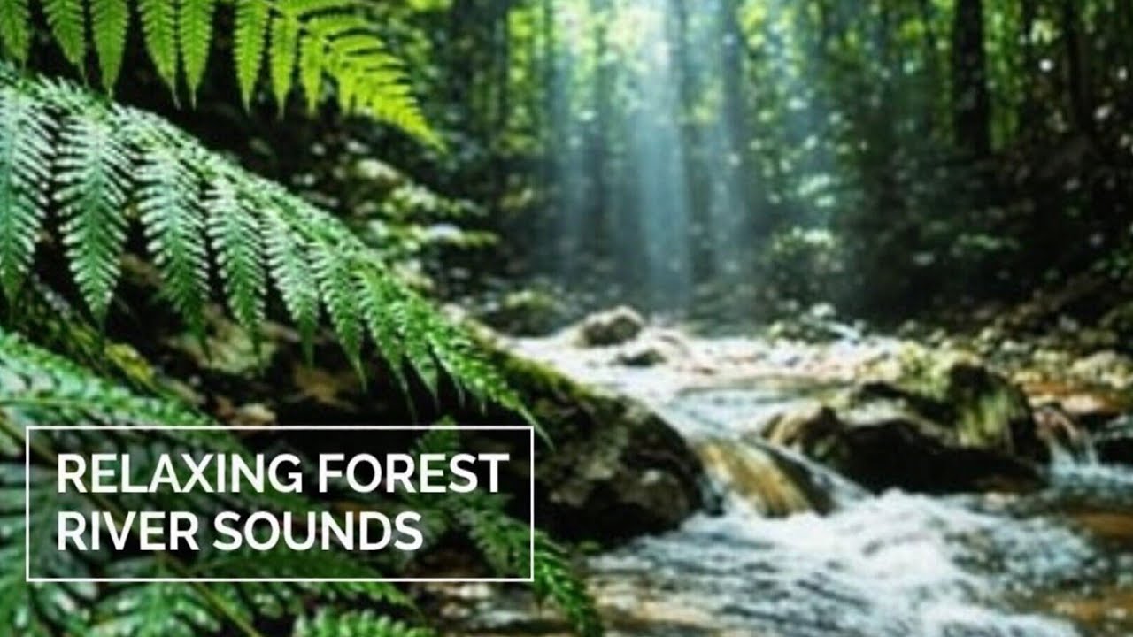 Relaxing River Sounds with Soft Piano for Deep Meditation, Sleep & Stress Relief