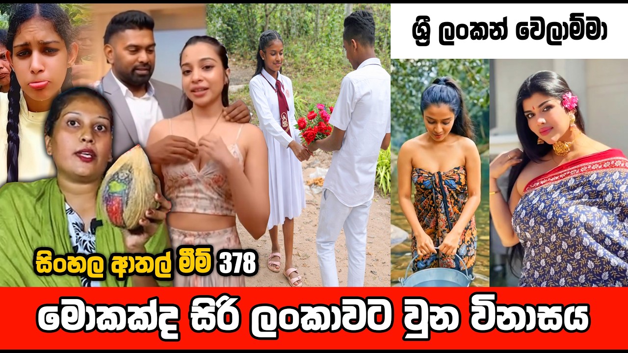 ශ්&zwj;රී ලංකන් Tiktok වෙලාම්මා | 371 | sl meme | athal meme | sri lankan sinhala meme | sadeeyaa meme